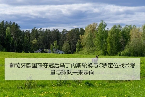 pu-tao-ya-ou-guo-lian-duo-guan-hou-ma-ding-nei-si-lun-huan-yu-luo-ding-wei-zhan-shu-kao-liang-yu-qiu-dui-wei-lai-zou-2-824.jpg